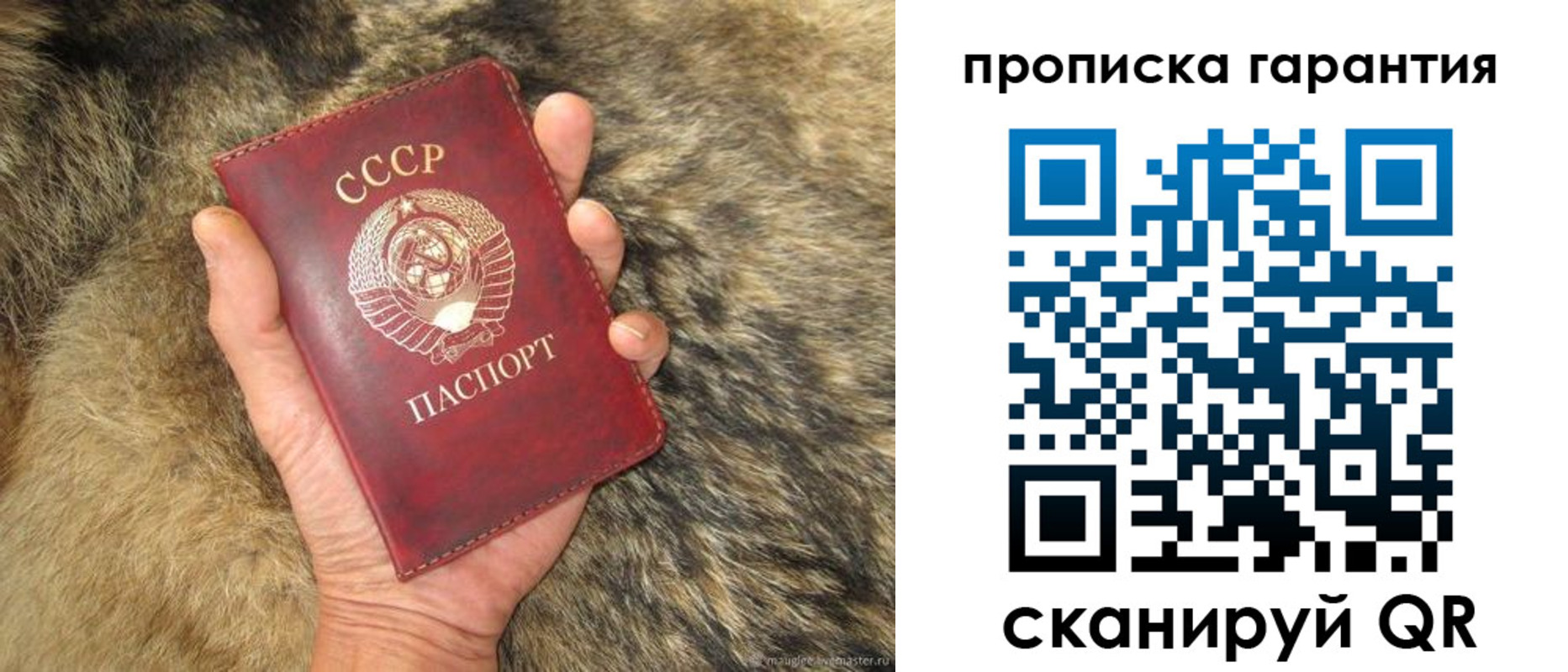 временная регистрация гарантия в Грязях